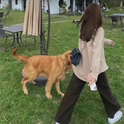 亲爱的敌人