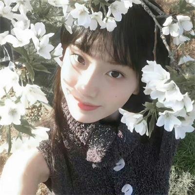 乌鸦谷
